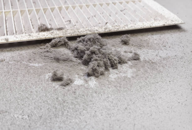 Best Affordable Duct Cleaning Services  in Sacaton, AZ