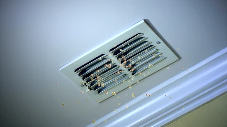 Best HVAC Duct Inspection Services  in Sacaton, AZ